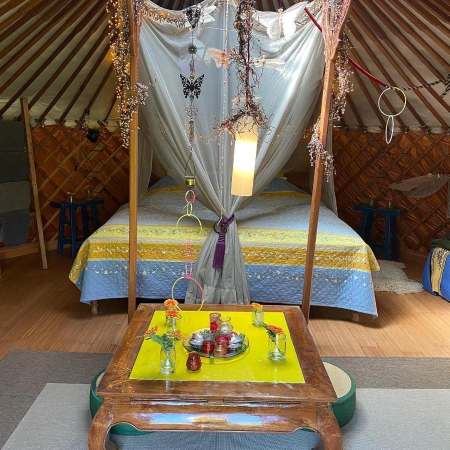 Reijgershof Bed and Breakfast Άμστερνταμ Εξωτερικό φωτογραφία