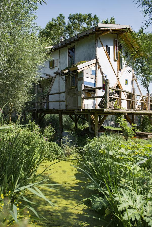 Reijgershof Bed and Breakfast Άμστερνταμ Εξωτερικό φωτογραφία